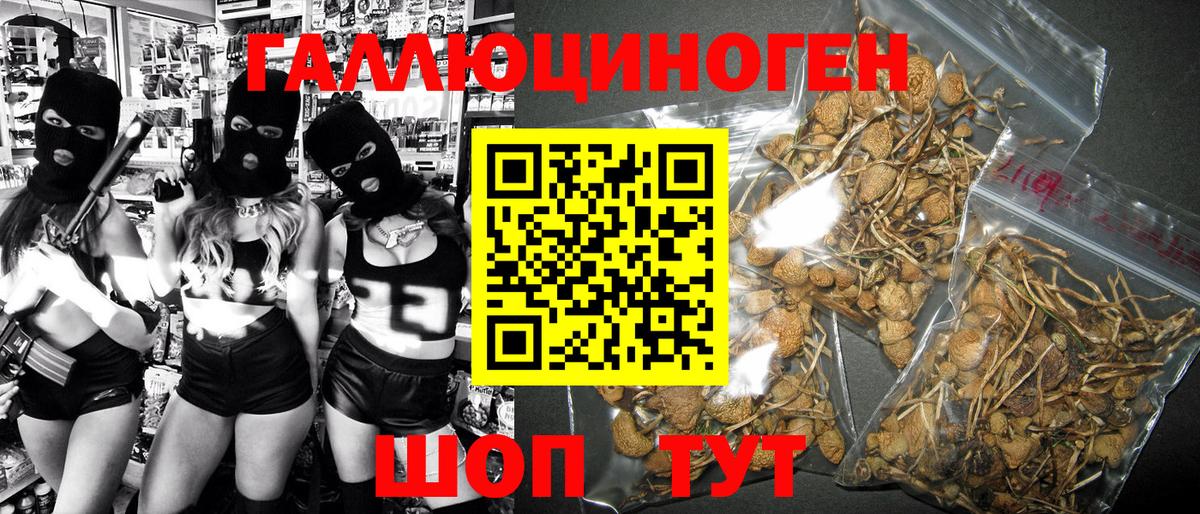 Псилоцибиновые грибы мухоморы Челябинск